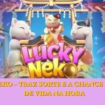Lucky Neko – Traz Sorte e a Chance de Mudar de Vida na Hora